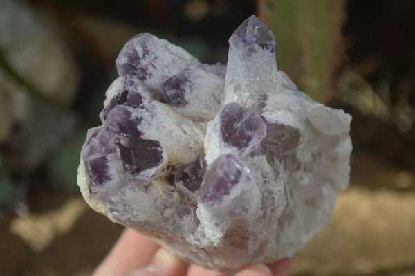 Natural Sugar Amethyst Clusters  x 3 From Zambia