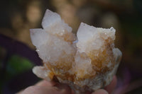 Natural Spirit Amethyst / Ametrine Quartz Clusters  x 6 From Boekenhouthoek, South Africa - Toprock Gemstones and Minerals 