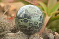 Polished Stromatolite / Kambamba Jasper Spheres  x 2 From Mahajanga, Madagascar - TopRock