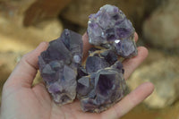 Natural Dark Amethyst Crystal Clusters x 12 From Zambia