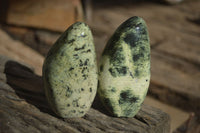 Polished Leopard Stone Standing Free Forms x 6 From Zimbabwe