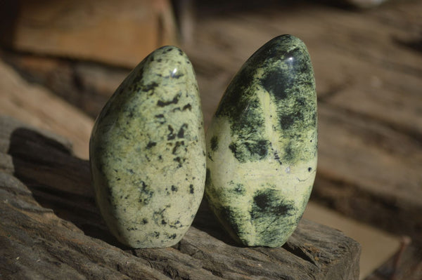 Polished Leopard Stone Standing Free Forms x 6 From Zimbabwe