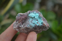 Natural Mixed Salrose & Chrysocolla Dolomite Specimens  x 24 From Kakanda, Congo - TopRock