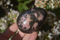 Polished Rhodonite Gemstone Eggs x 6 From Madagascar