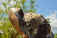 Polished Septerye Sauvage "Dragons Egg" Standing Free Forms  x 2 From Mahajanga, Madagascar - TopRock