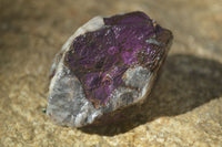 Natural Metallic Purpurite Cobbed Specimens  x 12 From Erongo, Namibia - Toprock Gemstones and Minerals 