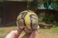 Polished Septaria Dragon's Eggs (Calcite & Aragonite) x 3 From Mahajanga, Madagascar - TopRock