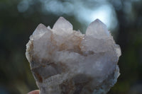 Natural Spirit Amethyst / Ametrine Quartz Clusters  x 6 From Boekenhouthoek, South Africa - Toprock Gemstones and Minerals 