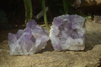 Natural Jacaranda Amethyst Clusters x 2 From Zambia