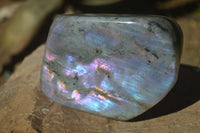 Polished Rare Purple Flash Labradorite Standing Free Forms  x 2 From Tulear, Madagascar - Toprock Gemstones and Minerals 