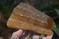 Natural Honey Aragonite Etched & Cobbed Pieces  x 2 From Namibia