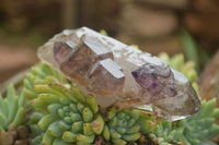 Polished Conglomerate Amethyst Clusters (Man Made) x 6 From Chiredzi, Zimbabwe - TopRock