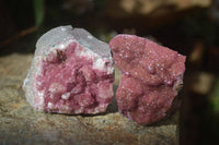 Natural Salrose Cobaltion Dolomite Specimens x 12 From Kakanda, Congo