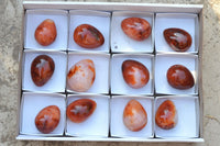 Polished Gorgeous Deep Red Carnelian Agate Eggs  x 12 From Madagascar - TopRock