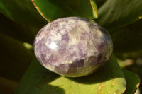 Polished Lithium Mica Purple Lepidolite Palm Stones (Some With Pink Rubellite) x 24 From Madagascar - TopRock