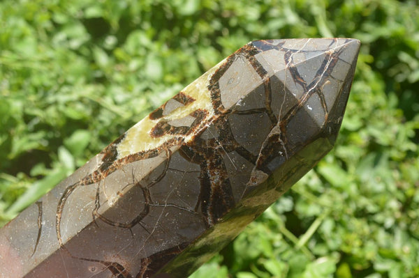 Polished Large Septaria (Yellow Calcite and Aragonite) Point x 1 From Mahajanga, Madagascar - TopRock