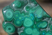 Polished Malachite Free Forms x 3 From Kolwezi, Congo