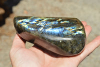 Polished Labradorite Standing Free Forms With Intense Blue & Gold Flash x 2 From Sakoany, Madagascar - TopRock