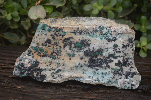 Natural Drusy Coated Chrysocolla Dolomite Specimen  x 1 From Likasi, Congo