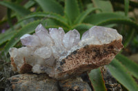 Natural Jacaranda Amethyst Cluster x 1 From Mumbwa, Zambia - TopRock