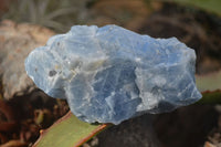 Natural New Sky Blue Calcite Specimens  x 12 From Spitzkop, Namibia - Toprock Gemstones and Minerals 