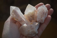 Natural Pink Pineapple Quartz Crystals  x 20 From Madagascar