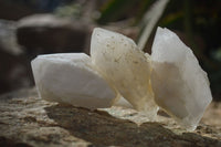 Natural Pineapple Candle Quartz Crystals  x 35 From Madagascar