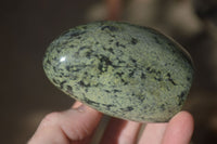 Polished Leopard Stone Standing Free Forms x 6 From Zimbabwe