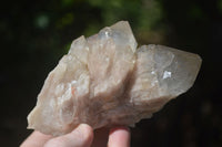 Natural Cascading White Phantom Smokey Quartz Clusters  x 3 From Luena, Congo - Toprock Gemstones and Minerals 