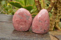 Polished Pink Rhodonite Standing Free Forms  x 6 From Madagascar - TopRock