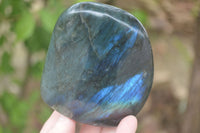 Polished Labradorite Standing Free Forms With Purple & Blue Flash  x 2 From Tulear, Madagascar - Toprock Gemstones and Minerals 