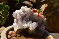 Natural Large Stunning Jacaranda Amethyst Vug Cluster  x 1 From Zambia - TopRock