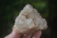 Natural Cascading White Phantom Smokey Quartz Specimens  x 6 From Luena, Congo - Toprock Gemstones and Minerals 