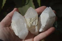 Natural Pineapple Candle Quartz Crystals  x 35 From Madagascar