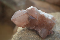 Natural Red Hematoid Quartz Specimens x 6 From Karoi, Zimbabwe