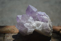 Natural Jacaranda Amethyst Clusters  x 3 From Mumbwa, Zambia - Toprock Gemstones and Minerals 