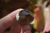 Natural Clear Smokey Quartz Crystals x 35 From Malawi