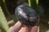 Polished Rhodonite Gemstone Eggs x 6 From Madagascar