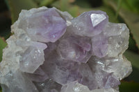 Natural Jacaranda Amethyst Clusters x 2 From Zambia