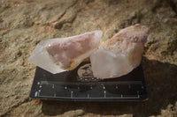 Natural Pink Pineapple Quartz Crystals  x 20 From Madagascar