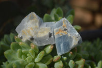 Natural New Sky Blue Calcite Specimens  x 70 From Spitzkop, Namibia - Toprock Gemstones and Minerals 