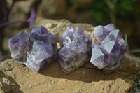 Natural Dark Amethyst Crystal Clusters x 12 From Zambia