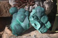 Natural Botryoidal Malachite Specimens  x 2 From Kambove, Congo