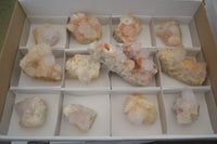 Natural White Cactus Spirit Quartz Clusters  x 12 From Boekenhouthoek, South Africa - Toprock Gemstones and Minerals 