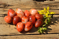 Polished Gorgeous Deep Red Carnelian Agate Eggs  x 12 From Madagascar - TopRock