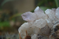 Natural Jacaranda Amethyst Cluster x 1 From Mumbwa, Zambia - TopRock