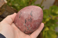 Polished Pink Rhodonite Standing Free Forms  x 6 From Madagascar - TopRock