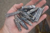 Natural Small Semi Translucent Blue Kyanite Crystals  x Sold per 1 Kg -  From Karoi, Zimbabwe - TopRock