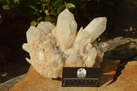 Natural Large Milky White Quartz Cluster With Clean Intact Crystals  x 1 From Madagascar - TopRock