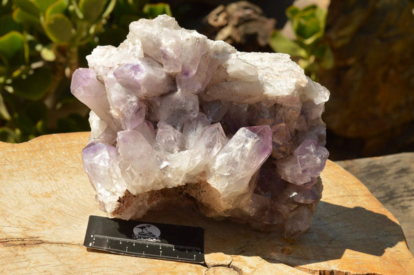 Natural Large Stunning Jacaranda Amethyst Vug Cluster  x 1 From Zambia - TopRock